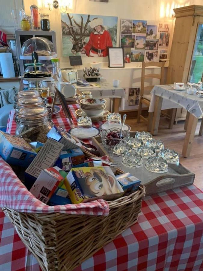 Kidwelly The Reindeer Retreat Buttercup Twin酒店 外观 照片