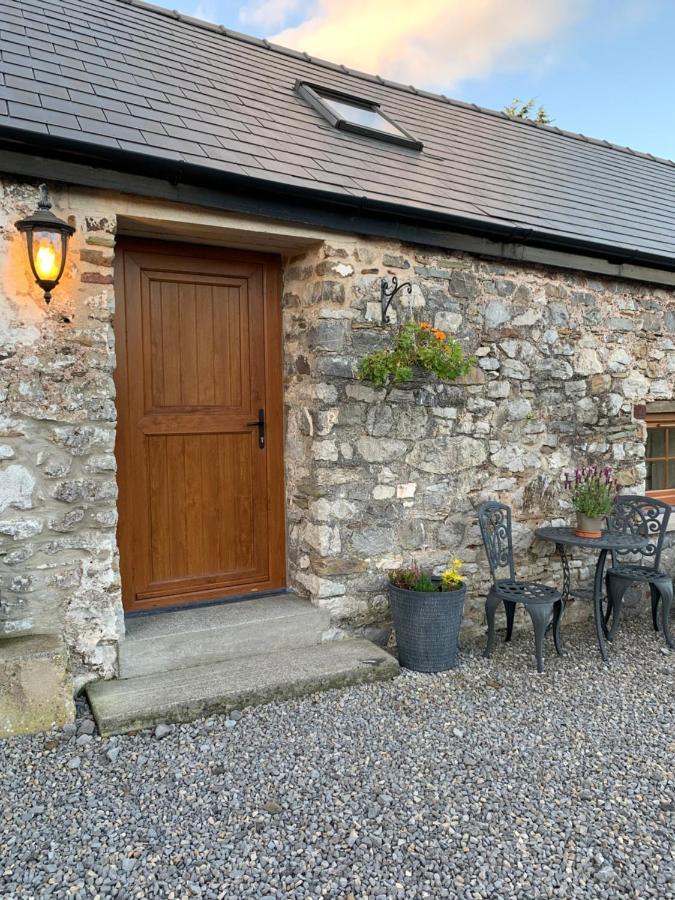 Kidwelly The Reindeer Retreat Buttercup Twin酒店 外观 照片